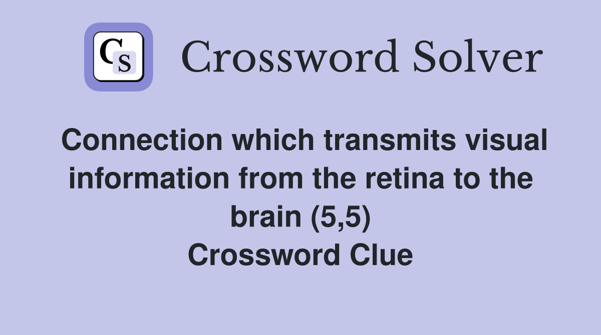 Connection which transmits visual information from the retina to the